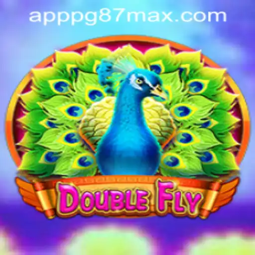 Unveiling DoubleFly: A Captivating Gaming Experience